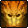 Oracle: Dragon Thunderstorm